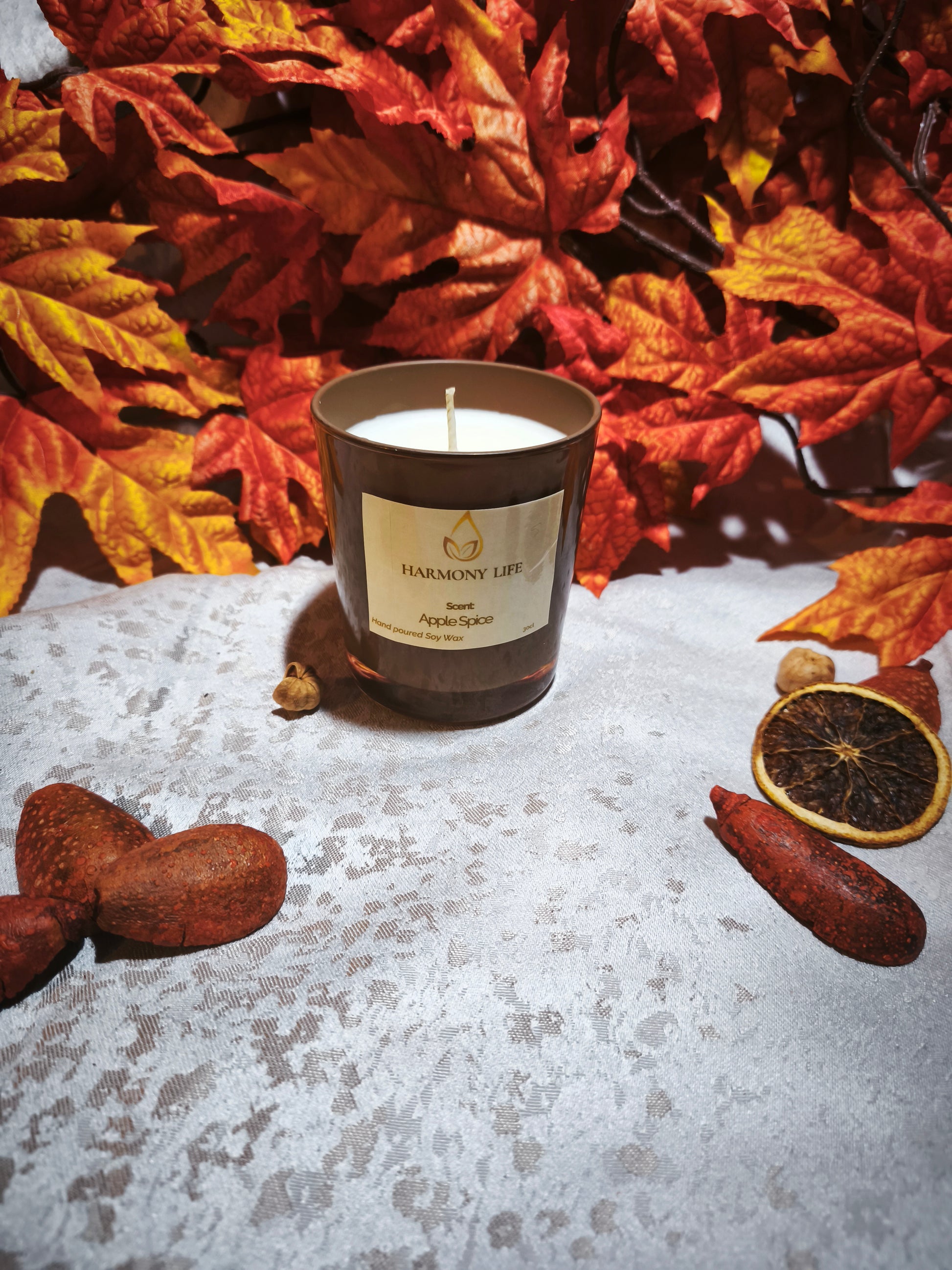 Αρωματικό Κερί Σόγιας Apple Spice 30cl - Harmony Life